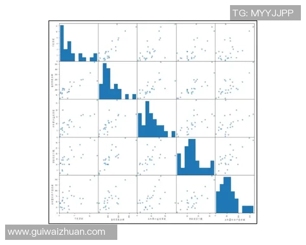 上海极限运动队灵活性表现的数据分析与研究探索